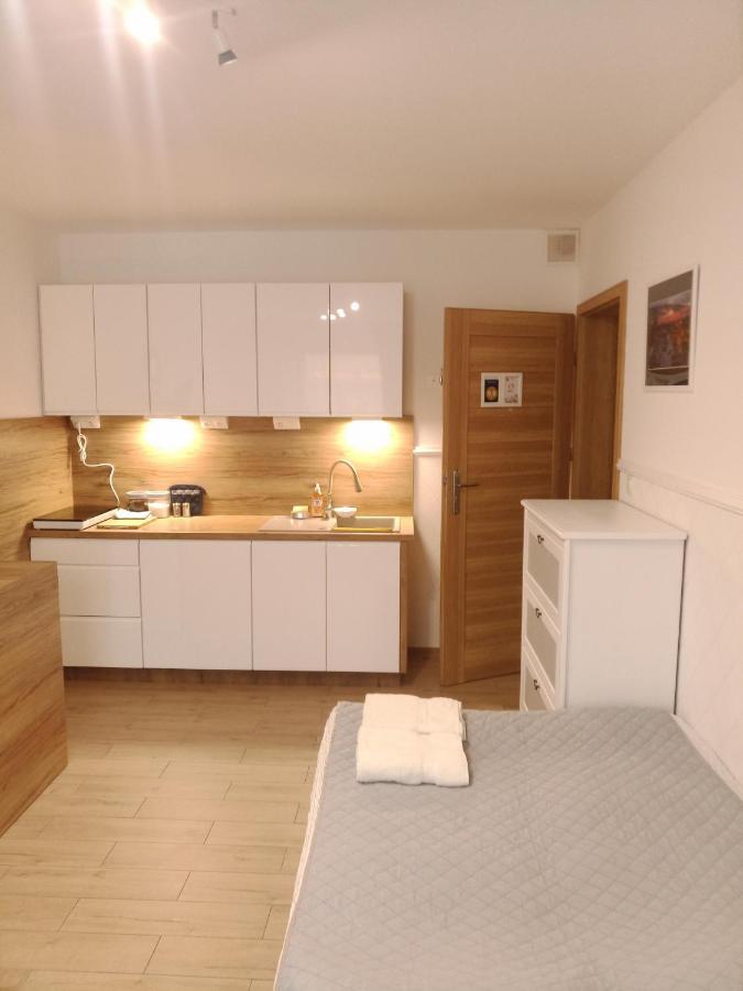 Luksusowy Gaj Apartament By Apartamenty Na Dni Wroclaw Breslávia Exterior foto